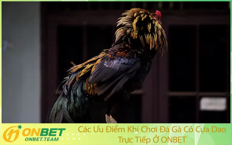 Các Ưu Điểm Khi Chơi Đá Gà Có Cựa Dao Trực Tiếp Ở ONBET