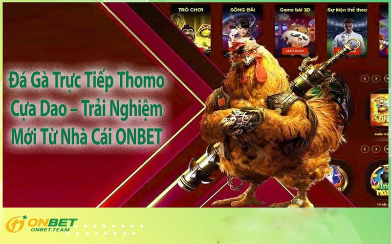 Đá Gà Trực Tiếp Thomo Cựa Dao – Trải Nghiệm Mới Từ Nhà Cái ONBET