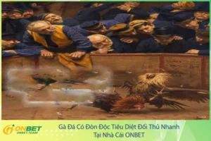 Gà Đá Có Đòn Độc Tiêu Diệt Đối Thủ Nhanh Tại Nhà Cái ONBET