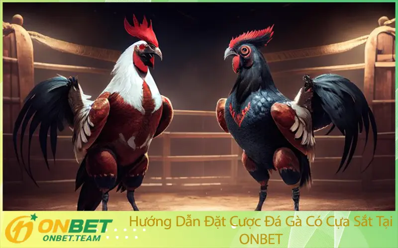 Hướng Dẫn Đặt Cược Đá Gà Có Cựa Sắt Tại ONBET