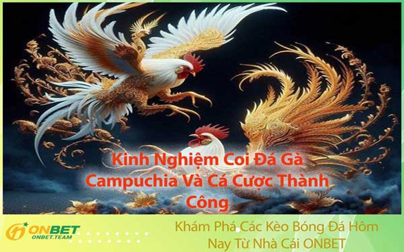 Kinh Nghiệm Coi Đá Gà Campuchia Và Cá Cược Thành Công