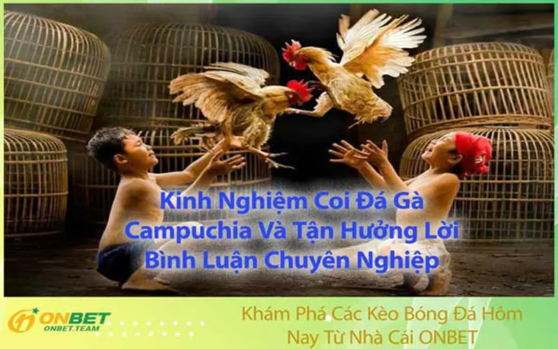 Kinh Nghiệm Coi Đá Gà Campuchia Và Tận Hưởng Bình Luận Chuyên Nghiệp