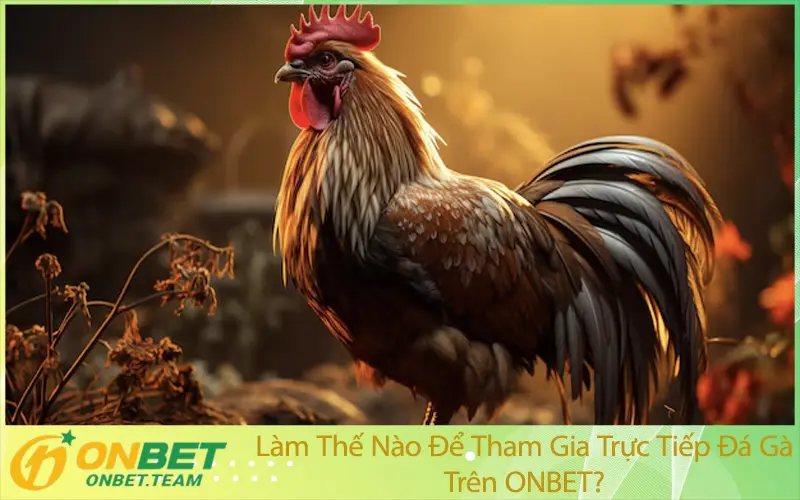 Làm Thế Nào Để Tham Gia Trực Tiếp Đá Gà Trên ONBET?