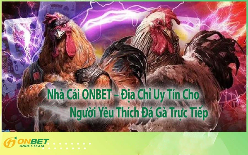Nhà Cái ONBET – Địa Chỉ Uy Tín Cho Người Yêu Thích Đá Gà Trực Tiếp