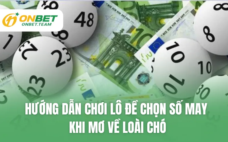 Hướng dẫn chơi lô đề chọn số may khi mơ về loài chó