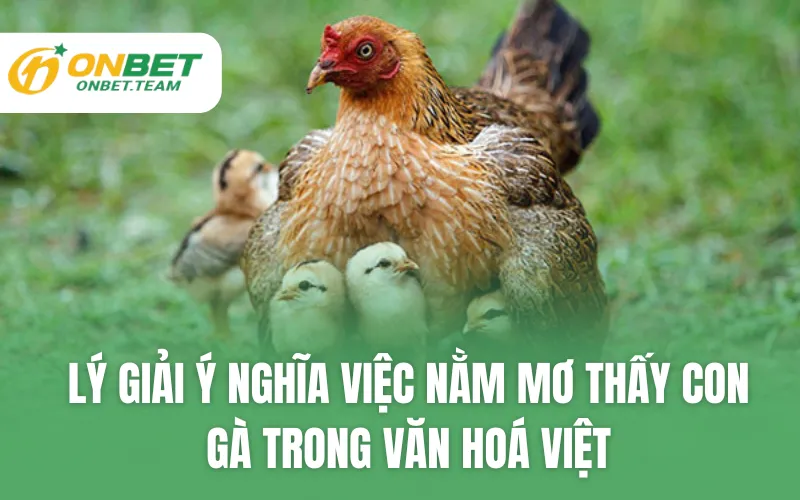 Lý giải ý nghĩa việc nằm mơ thấy con gà trong văn hoá Việt