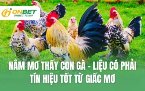 Nằm Mơ Thấy Con Gà - Liệu Có Phải Tín Hiệu Tốt Từ Giấc Mơ