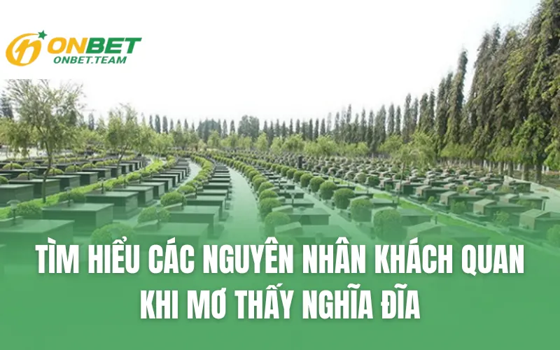 Tìm hiểu các nguyên nhân khách quan khi mơ thấy nghĩa đĩa