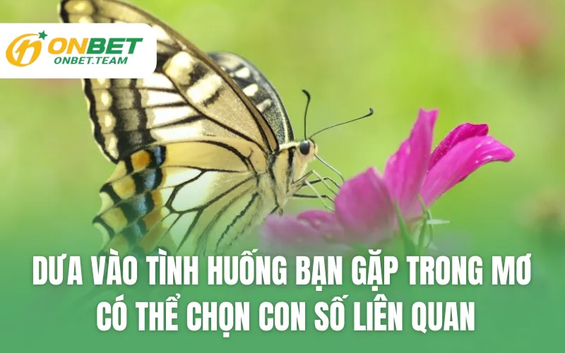 Dưa vào tình huống bạn gặp trong mơ có thể chọn con số liên quan