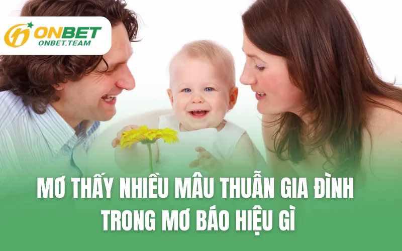 Mơ thấy nhiều mâu thuẫn gia đình trong mơ báo hiệu gì