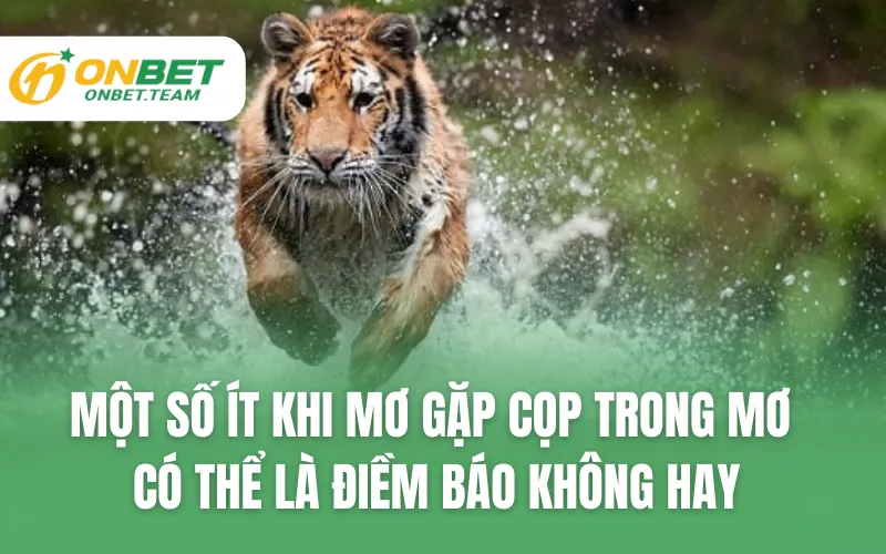 Một số ít khi mơ gặp cọp trong mơ có thể là điềm báo không hay