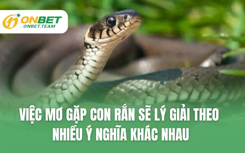 Việc mơ gặp con rắn sẽ lý giải theo nhiều ý nghĩa khác nhau